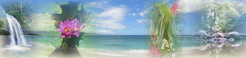 Beautiful Guadeloupe